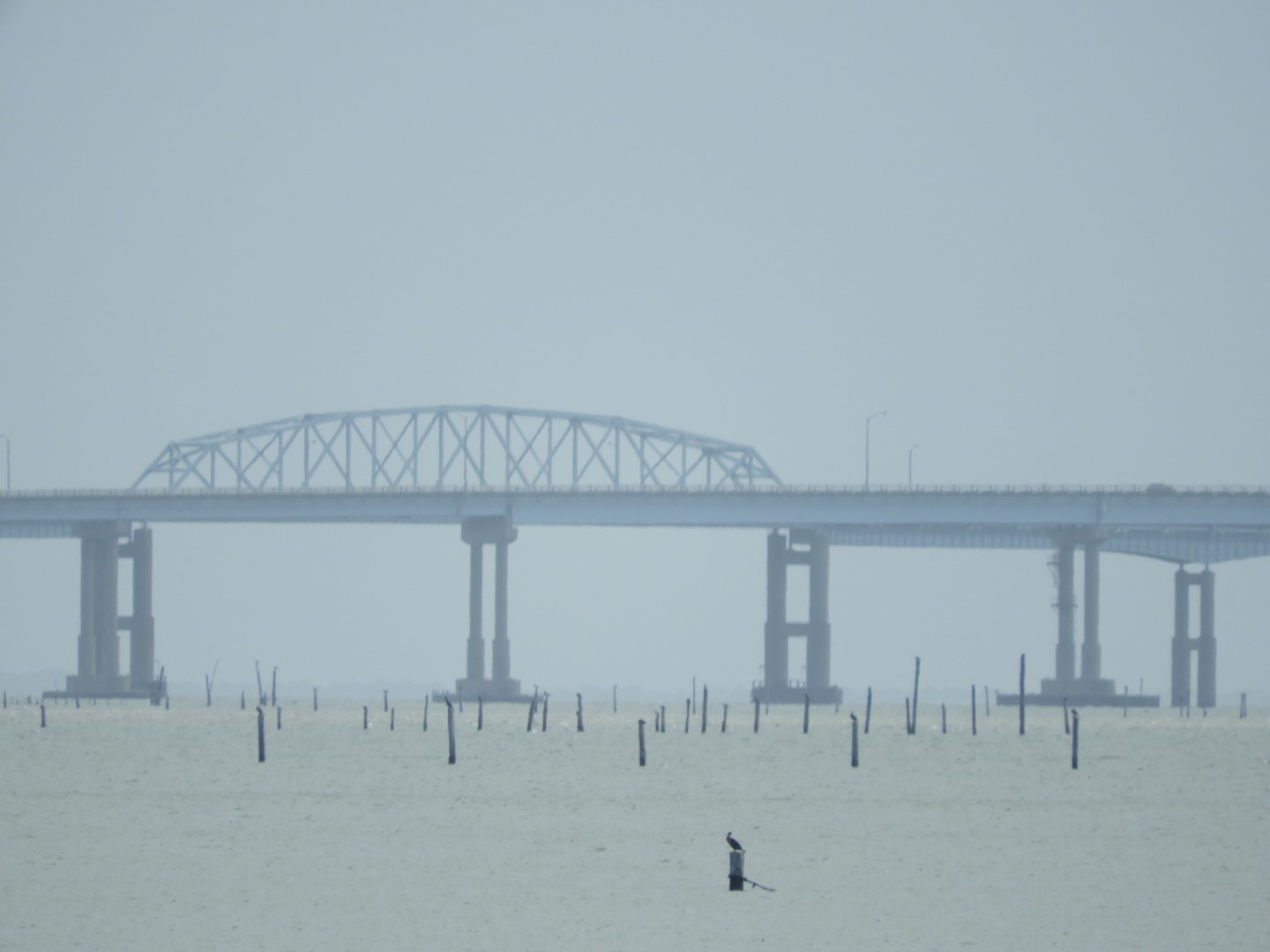Cape Charles VA on the Delaware Peninsula  7 of 41 (#6273)