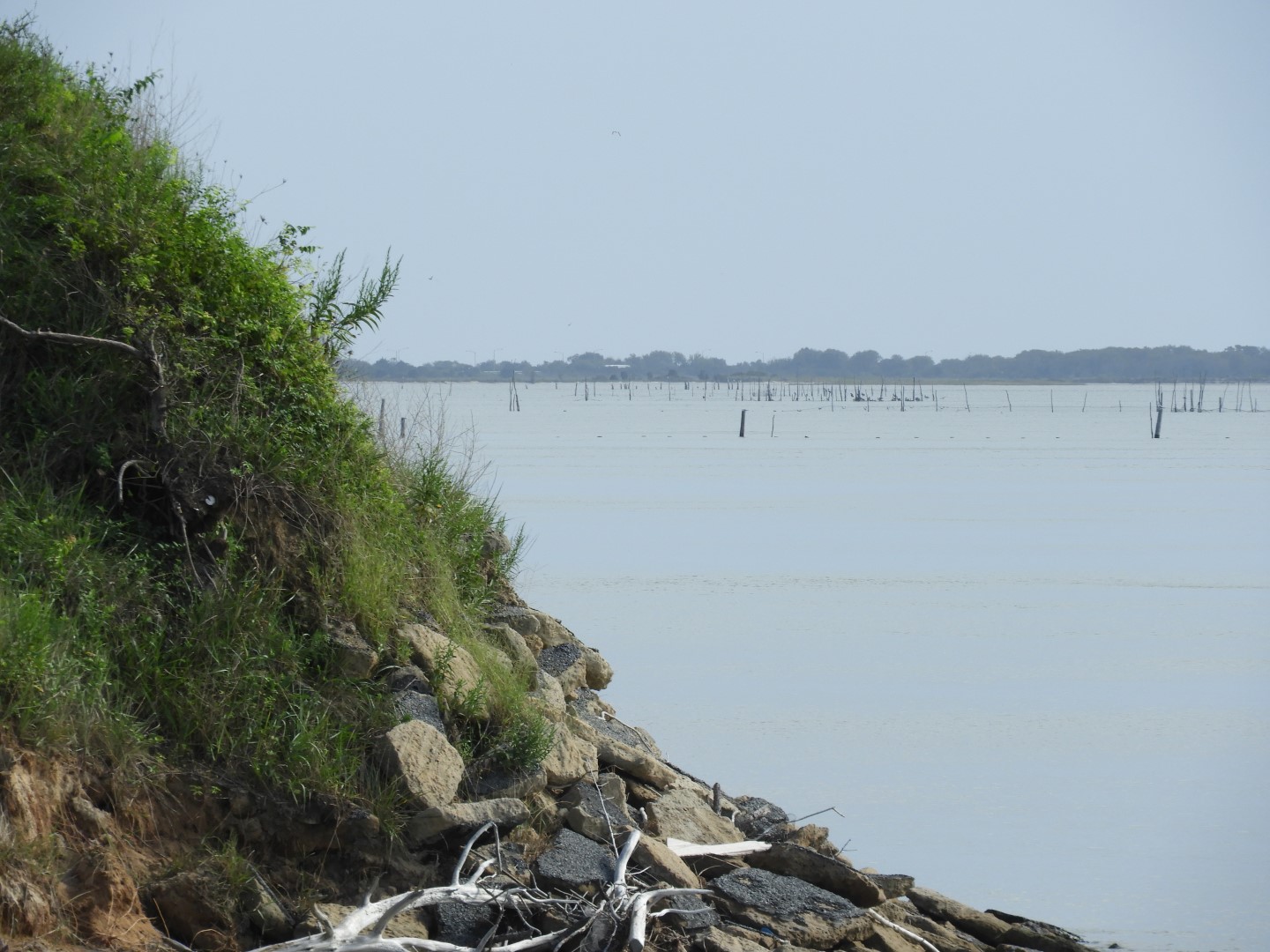 Cape Charles VA on the Delaware Peninsula  8 of 41 (#6274)