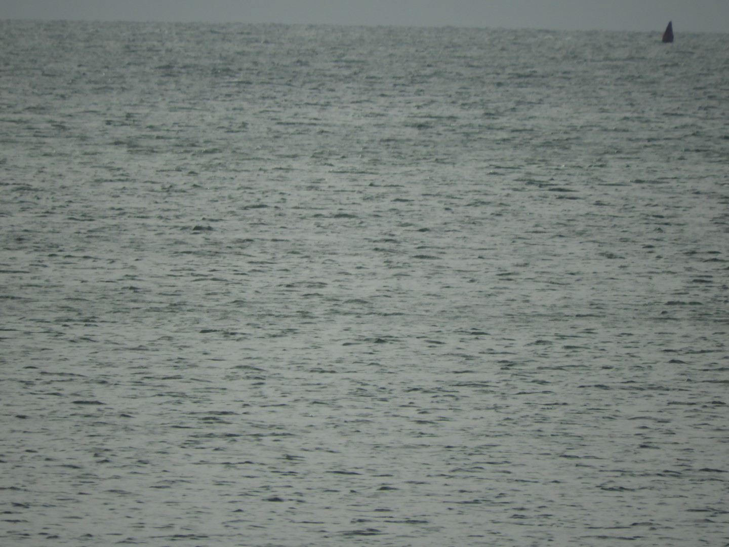 Cape Charles VA on the Delaware Peninsula 10 of 41 (#6276)