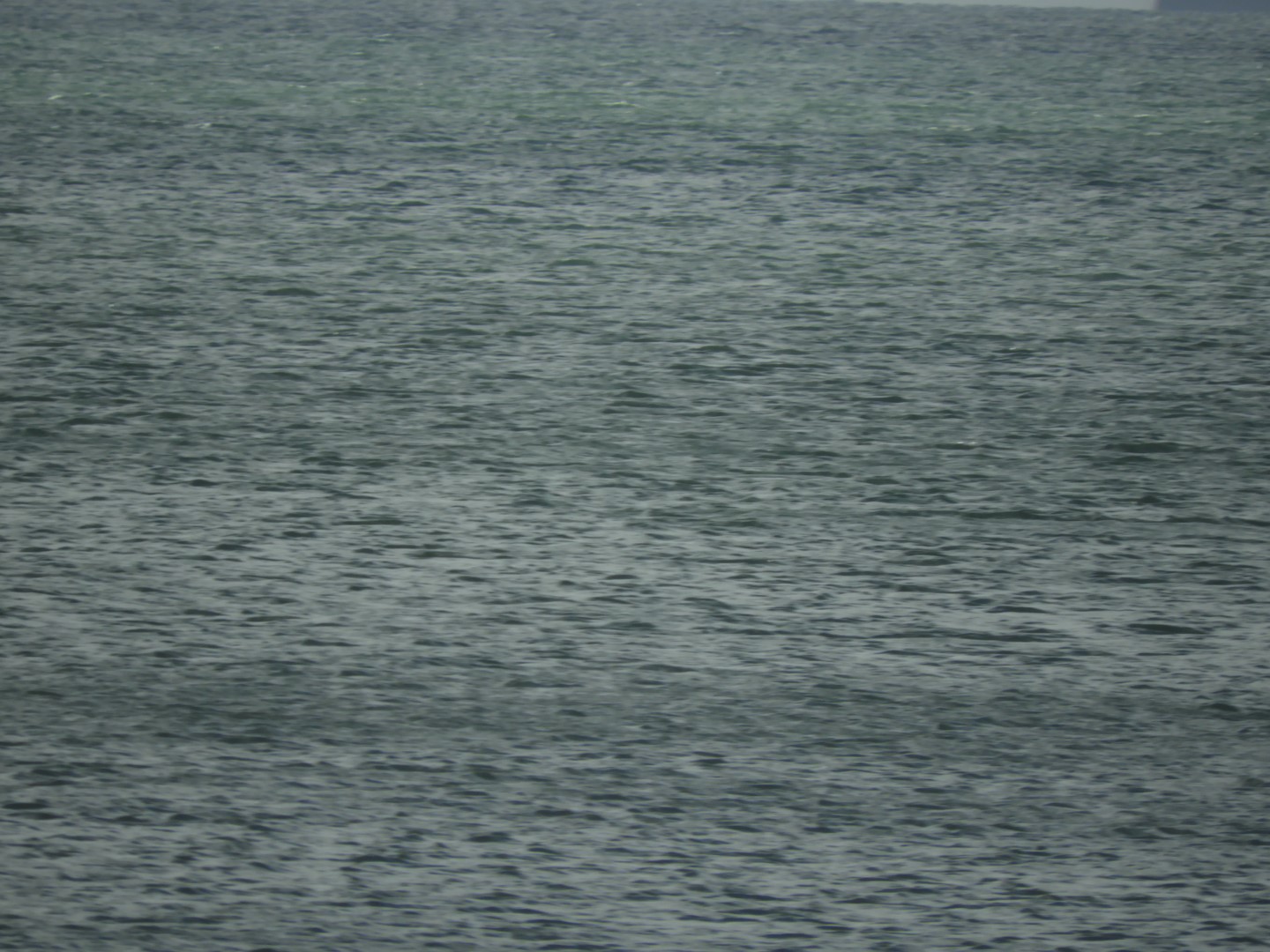 Cape Charles VA on the Delaware Peninsula 11 of 41 (#6278)