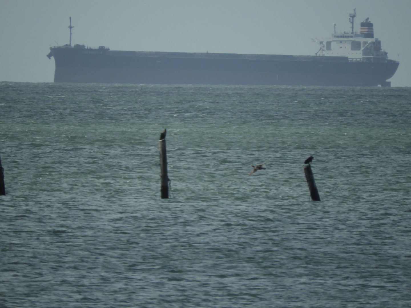 Cape Charles VA on the Delaware Peninsula 14 of 41 (#6283)