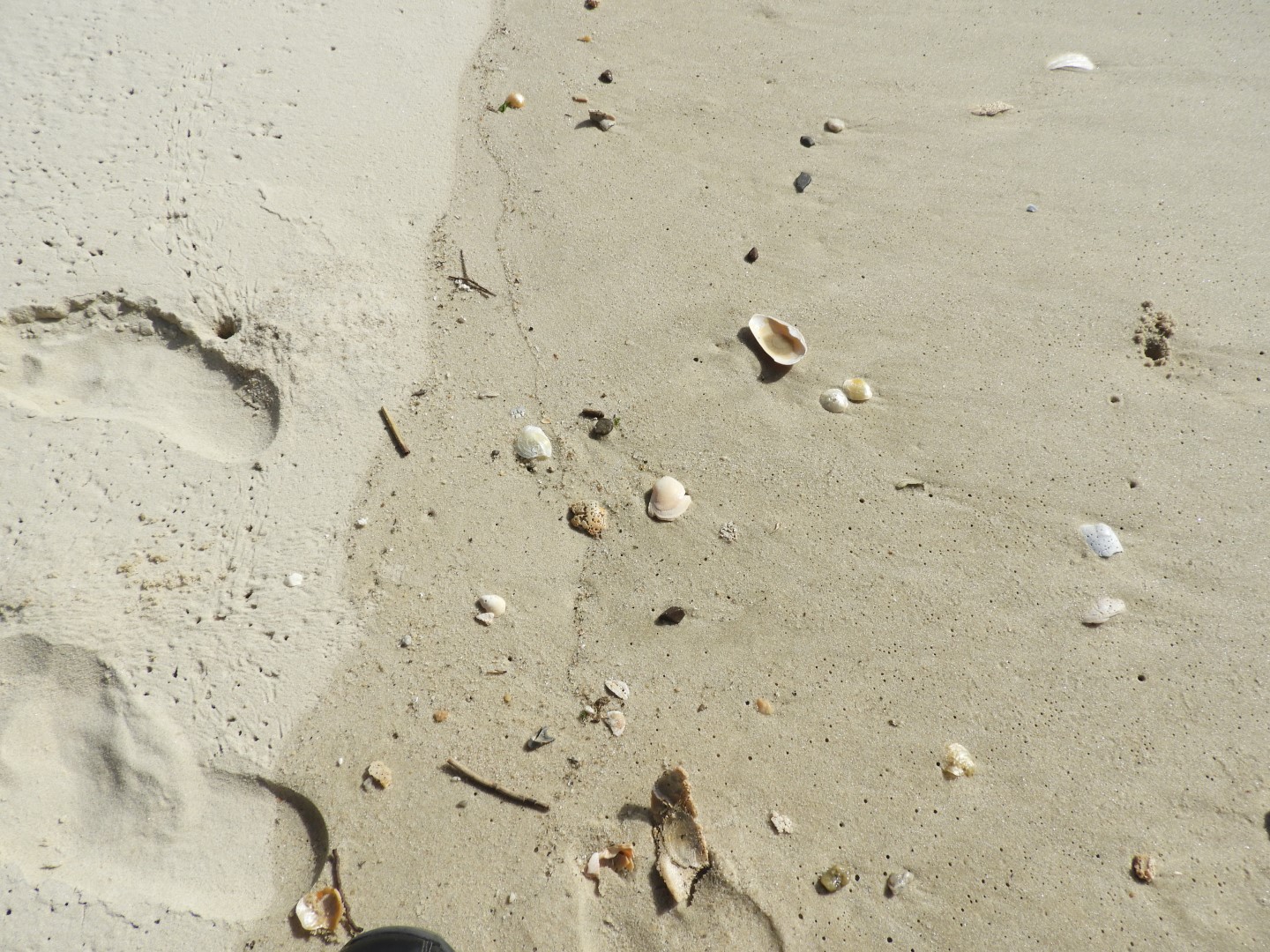 Cape Charles VA on the Delaware Peninsula  3 of 17 (#6286)