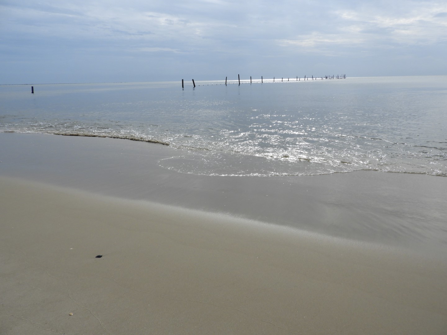 Cape Charles VA on the Delaware Peninsula  7 of 17 (#6290)