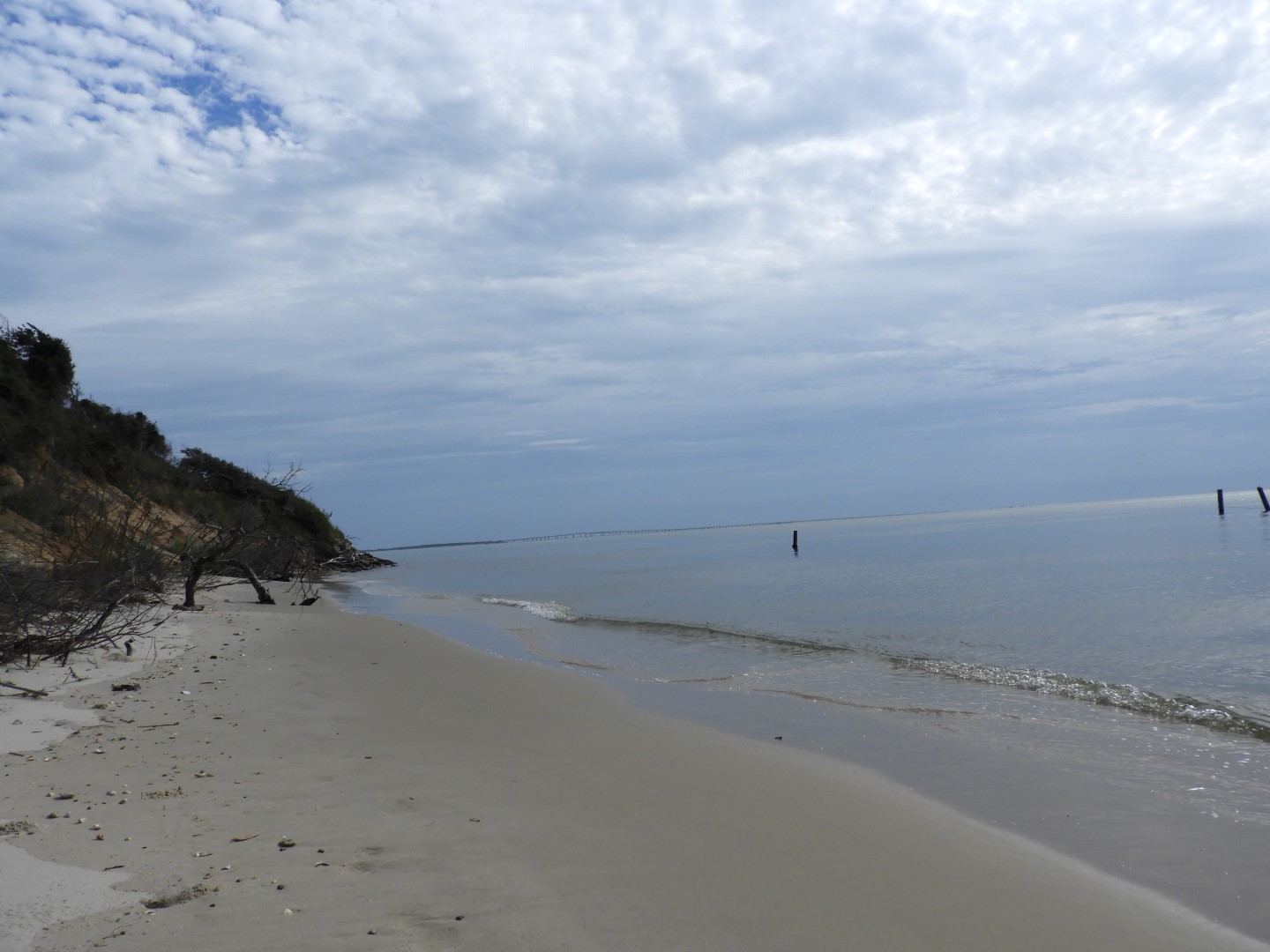 Cape Charles VA on the Delaware Peninsula 10 of 17 (#6293)