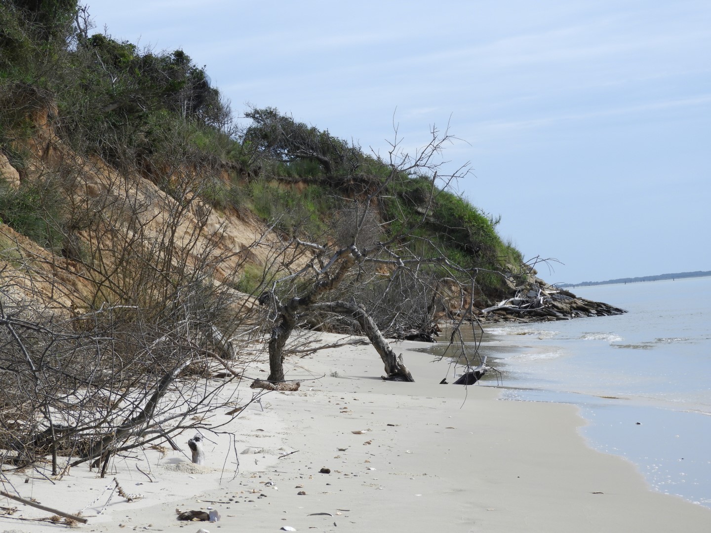 Cape Charles VA on the Delaware Peninsula 11 of 17 (#6294)