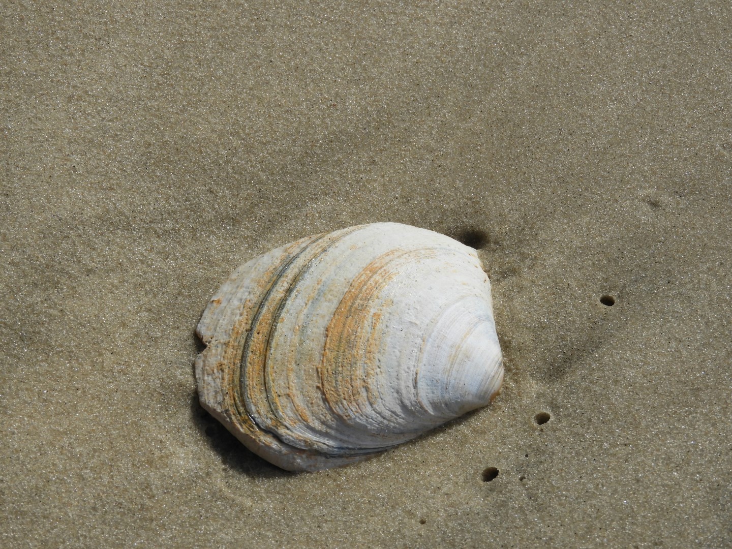 Cape Charles VA on the Delaware Peninsula 15 of 17 (#6296)