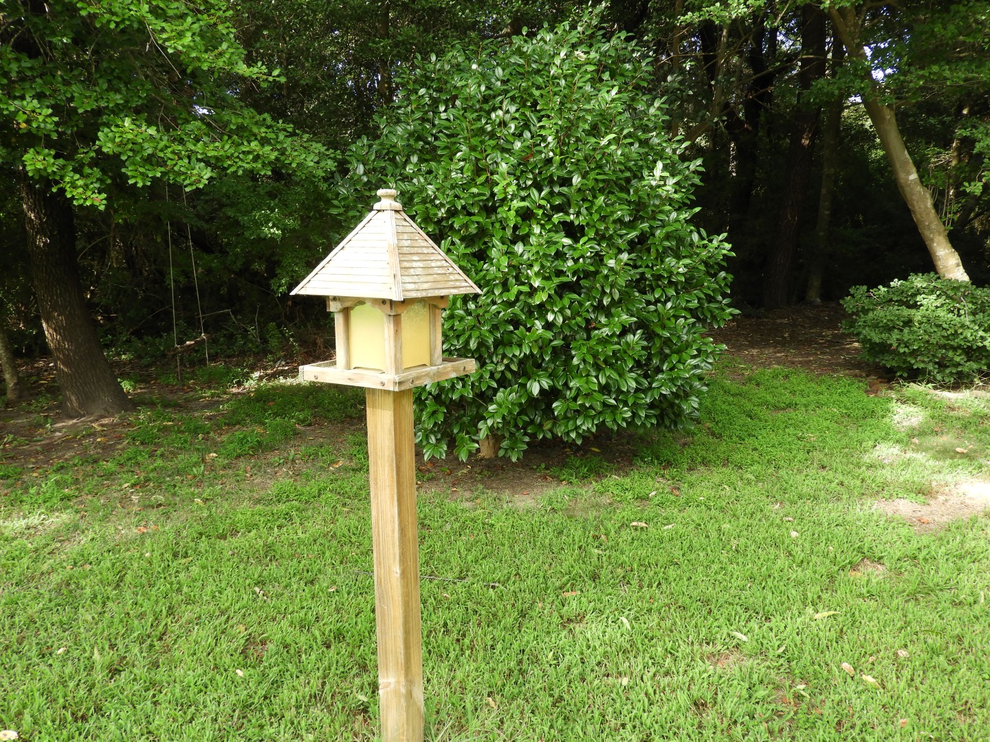 Cape Charles VA on the Delaware Peninsula  3 of  6 (#6302)