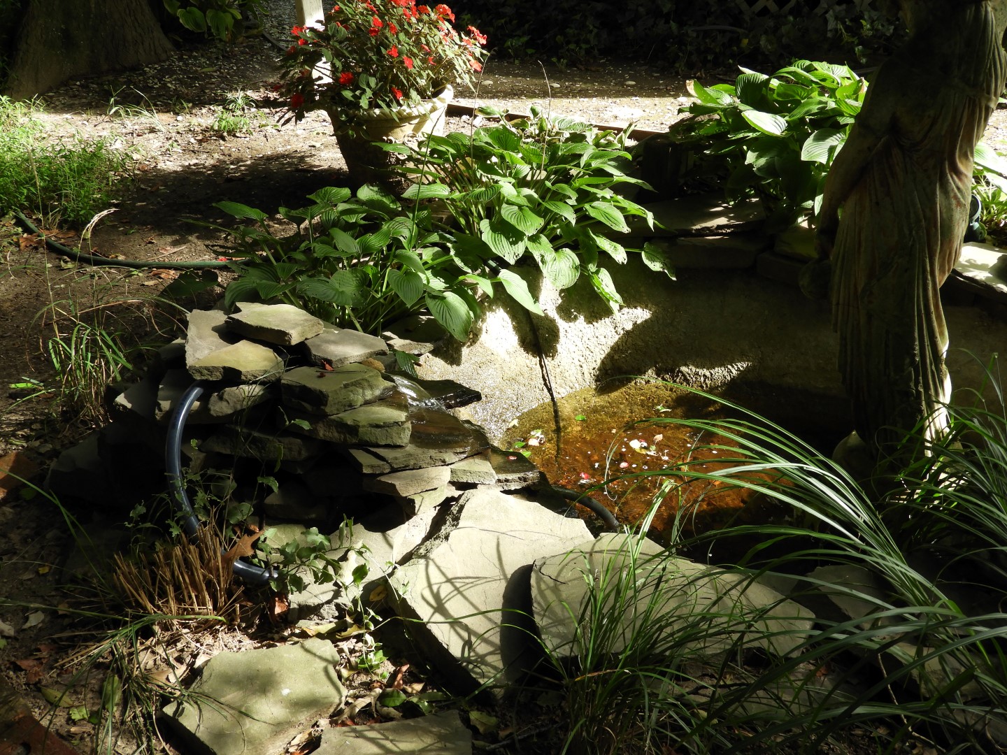 Cape Charles VA on the Delaware Peninsula  4 of  6 (#6303)