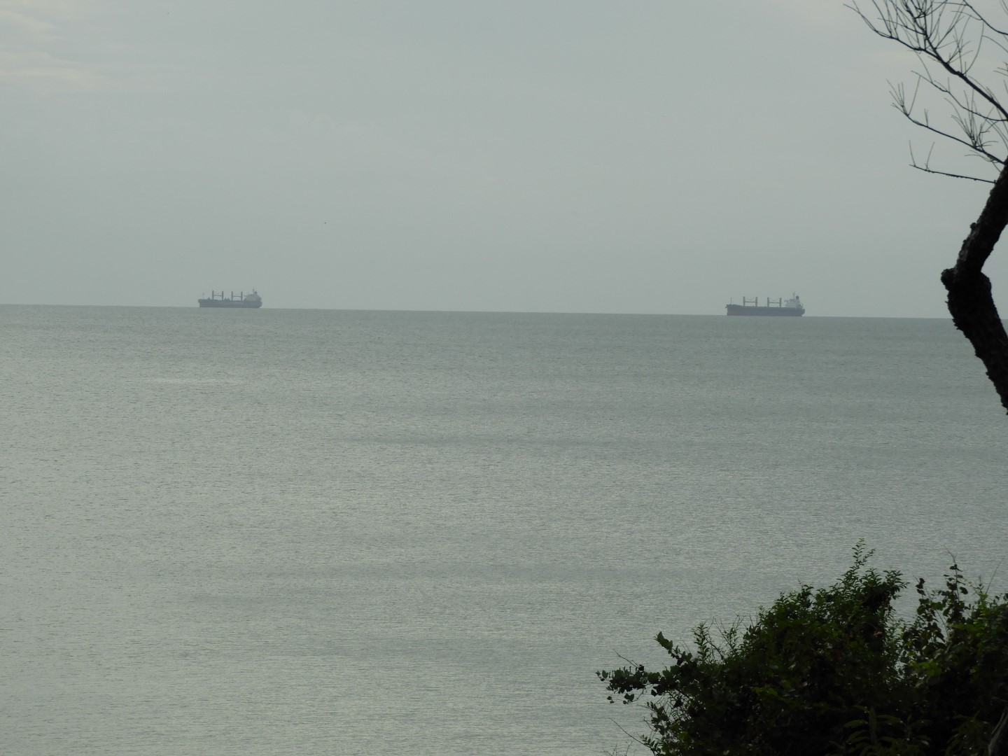 Cape Charles VA on the Delaware Peninsula 16 of 41 (#6306)