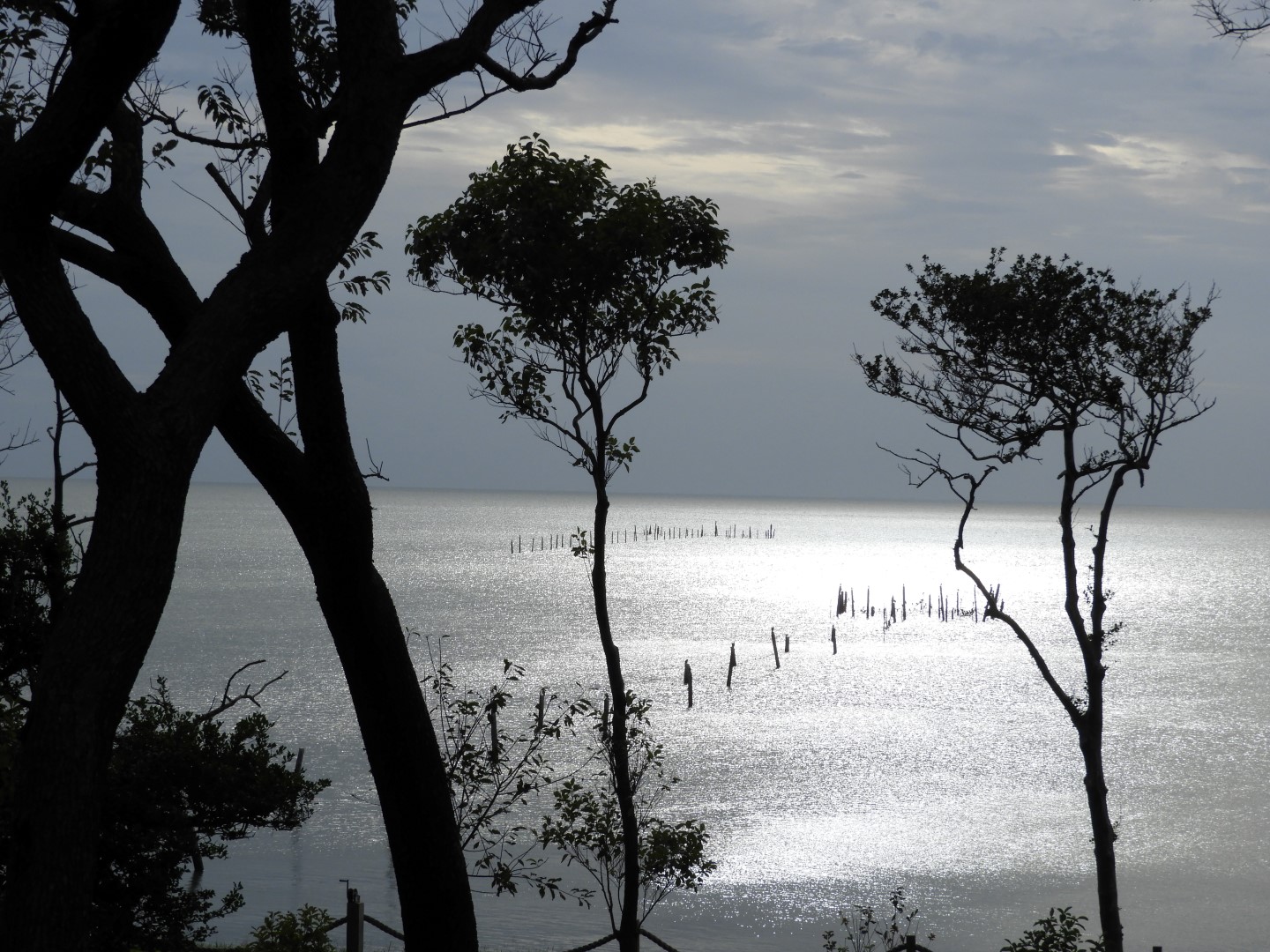 Cape Charles VA on the Delaware Peninsula 19 of 41 (#6311)