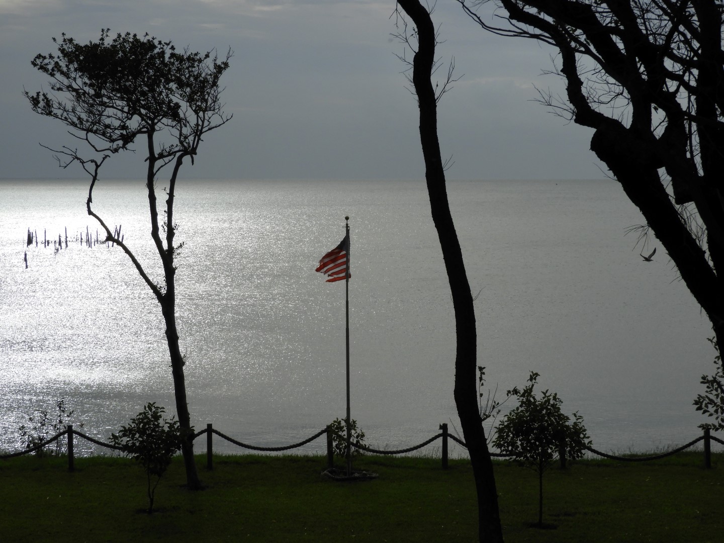 Cape Charles VA on the Delaware Peninsula 21 of 41 (#6315)