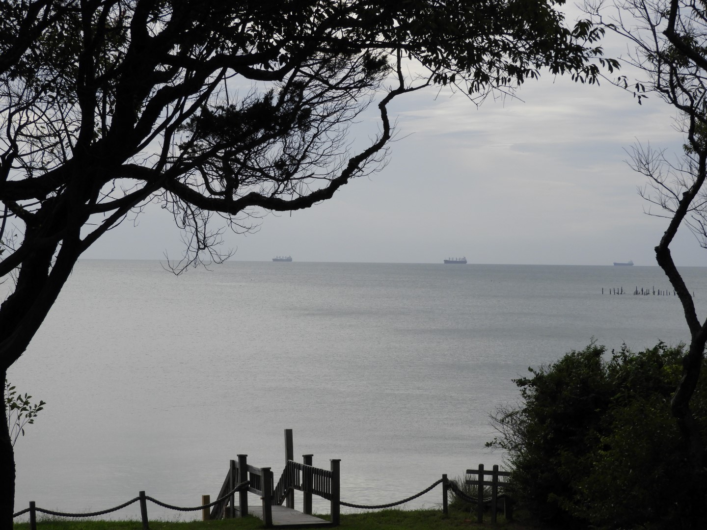 Cape Charles VA on the Delaware Peninsula 22 of 41 (#6316)