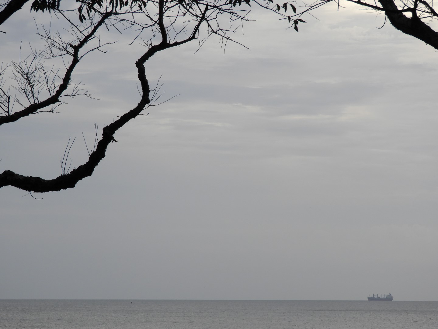 Cape Charles VA on the Delaware Peninsula 24 of 41 (#6318)