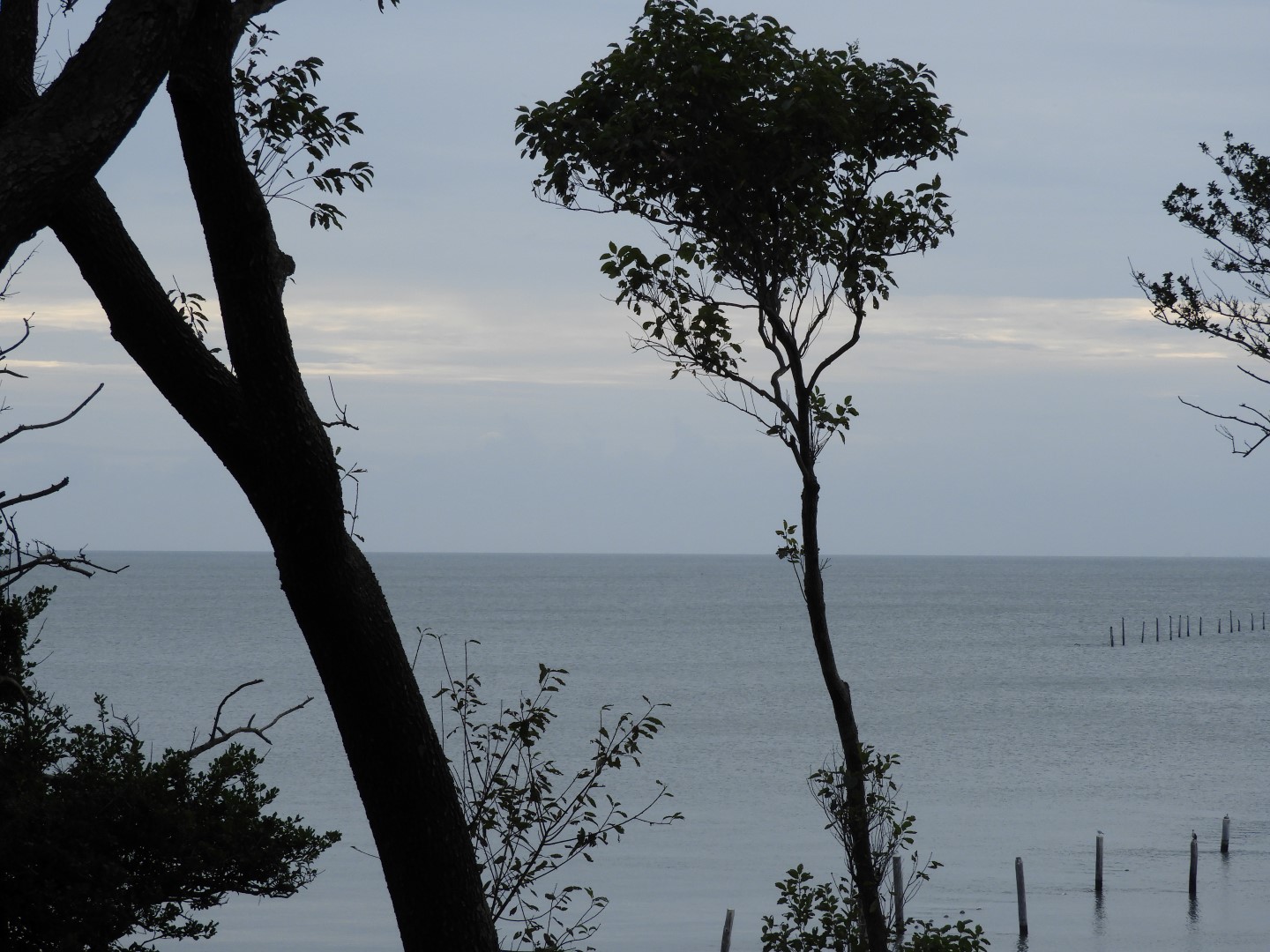 Cape Charles VA on the Delaware Peninsula 34 of 41 (#6329)