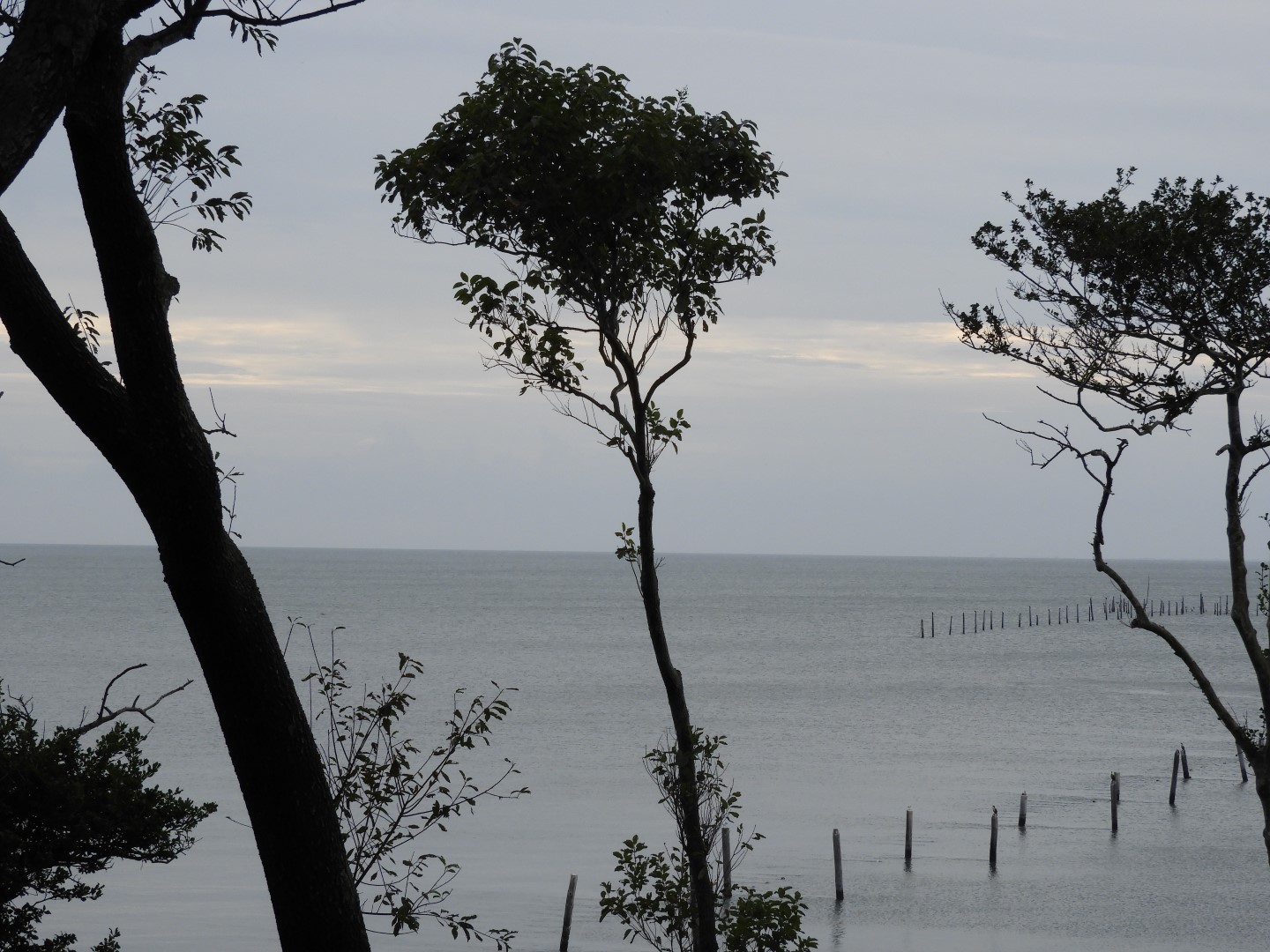 Cape Charles VA on the Delaware Peninsula 35 of 41 (#6330)