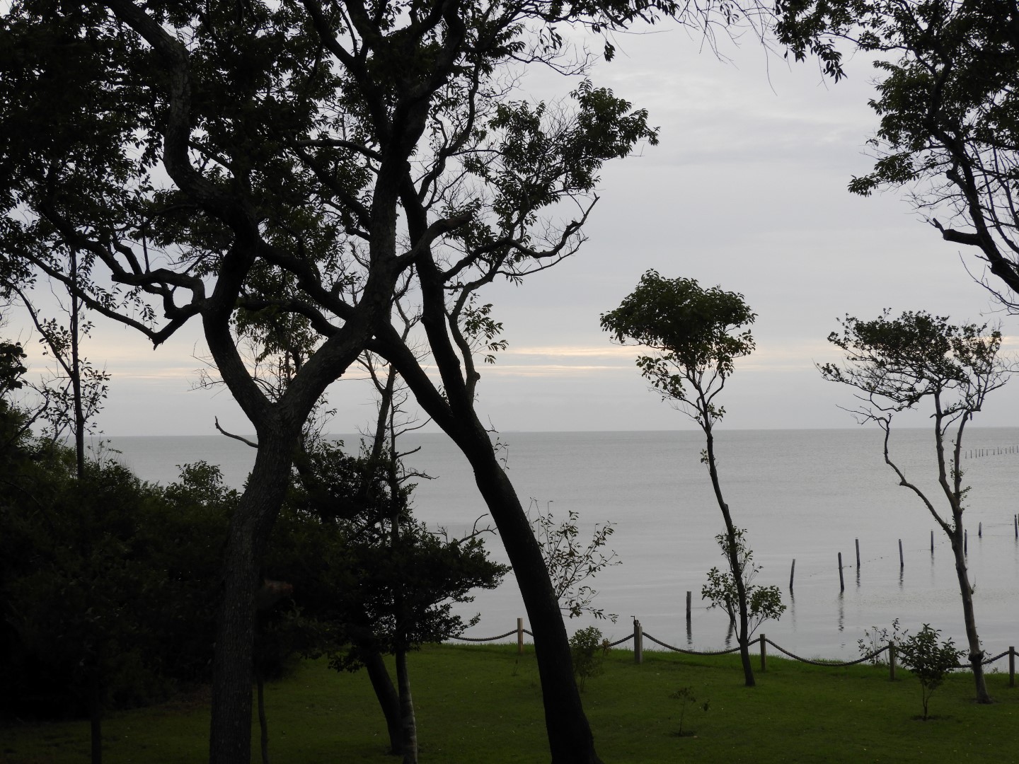 Cape Charles VA on the Delaware Peninsula 37 of 41 (#6332)