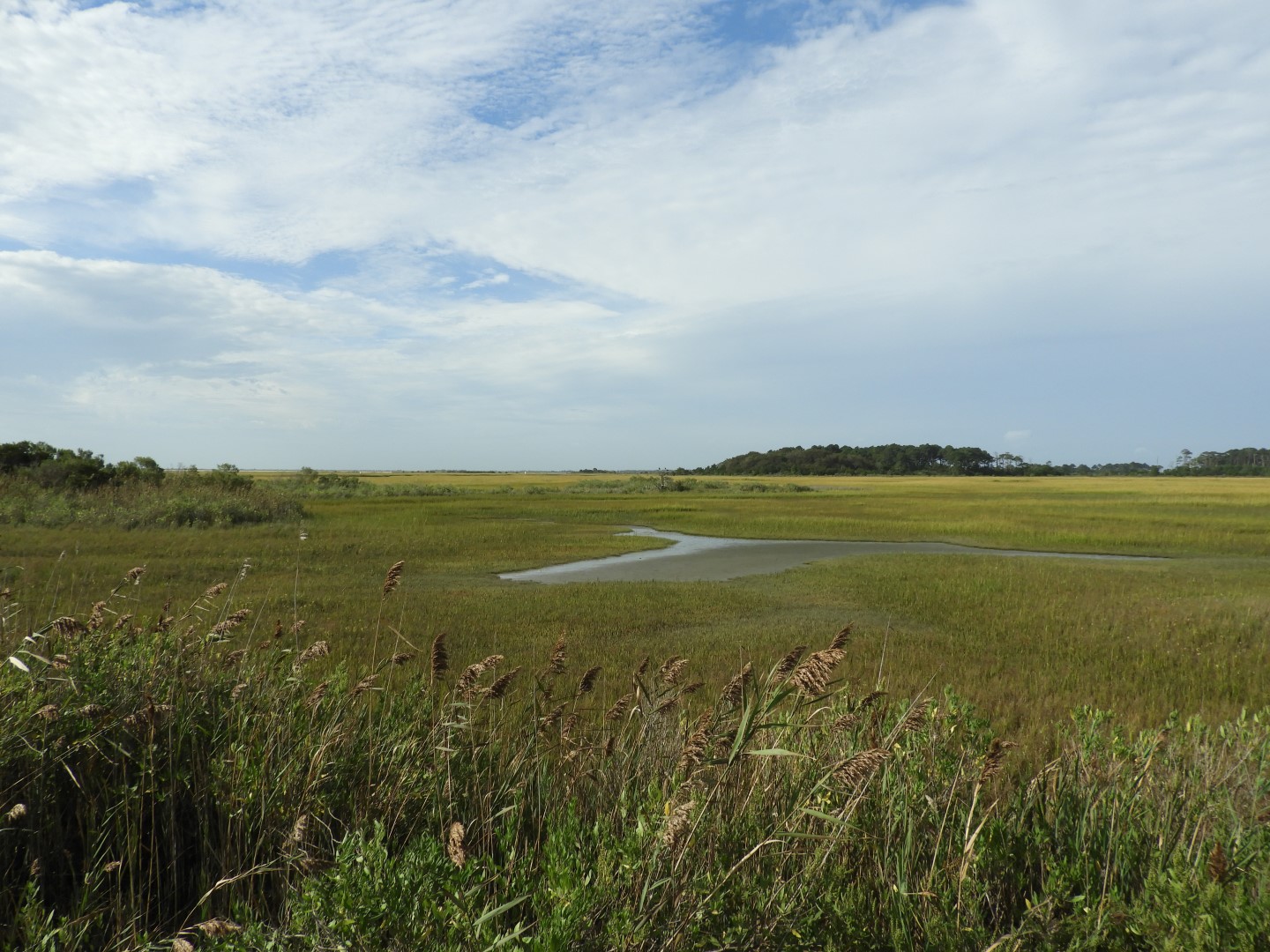Eastern Shore of Virginia Natural WIldlife Preserve  2 of  6 (#6341)
