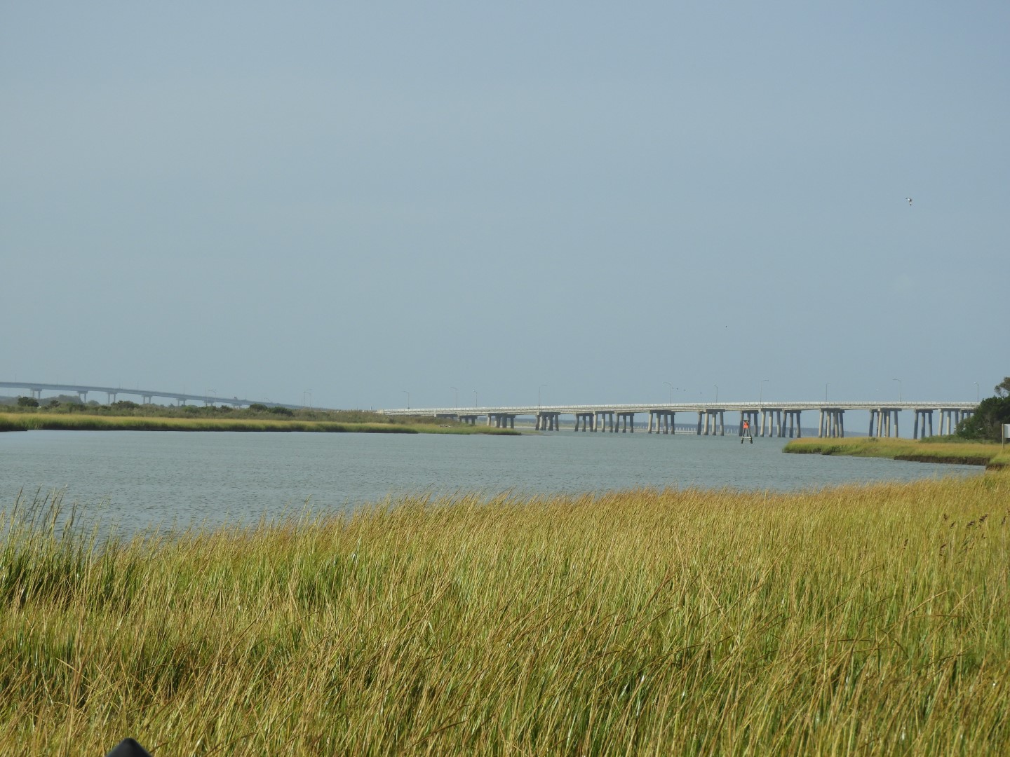 Eastern Shore of Virginia Natural WIldlife Preserve  5 of  6 (#6344)