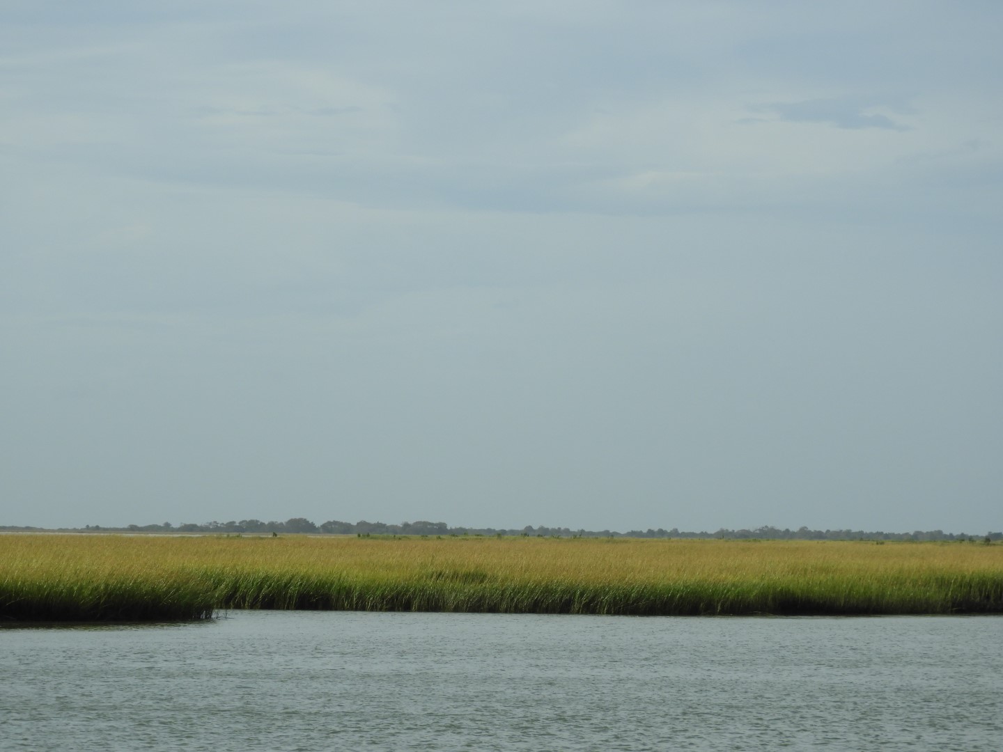Eastern Shore of Virginia Natural WIldlife Preserve  6 of  6 (#6345)