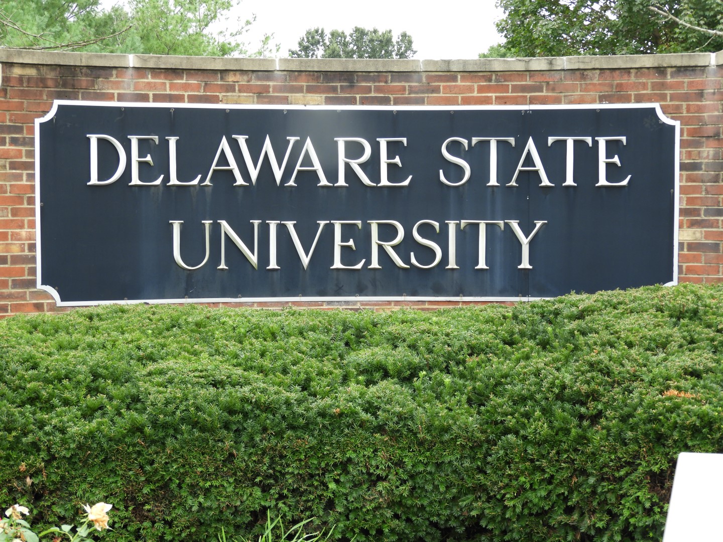 Delaware State University in Dover DE  1 of  3 (#6346)