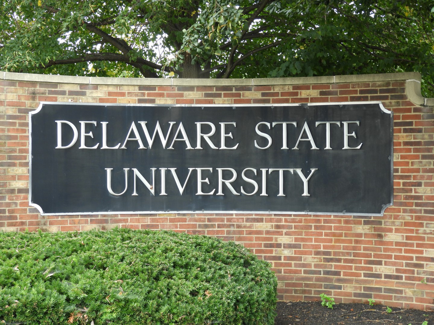 Delaware State University in Dover DE  2 of  3 (#6347)