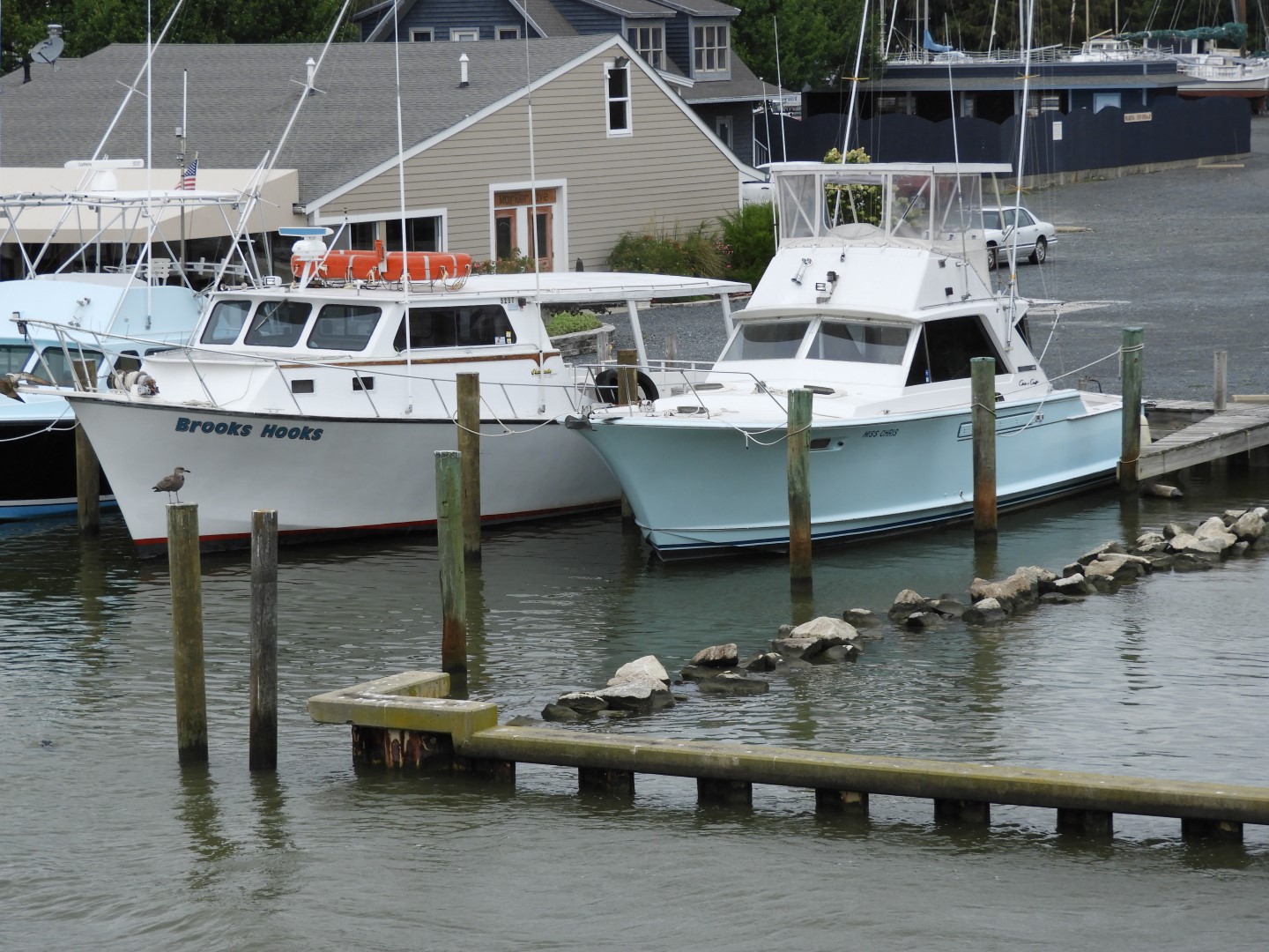 Tilghman Island MD on the Delaware Peninsula  4 of  5 (#6352)