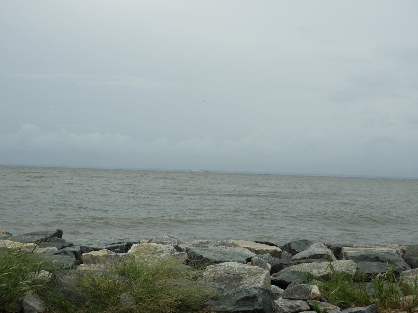 Tilghman Island MD on the Delaware Peninsula  5 of  5 (#6353)