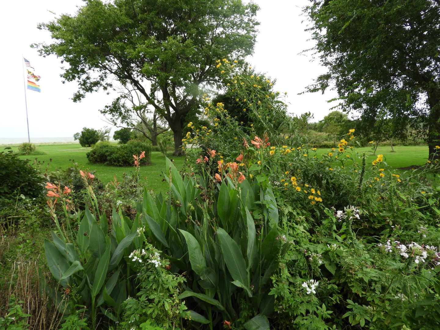Tilghman Island MD on the Delaware Peninsula  5 of 20 (#6359)