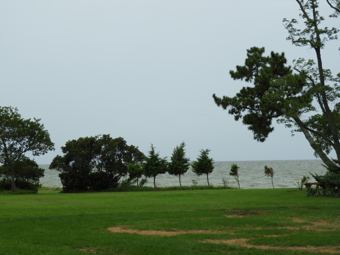 Tilghman Island MD on the Delaware Peninsula  6 of 20 (#6360)