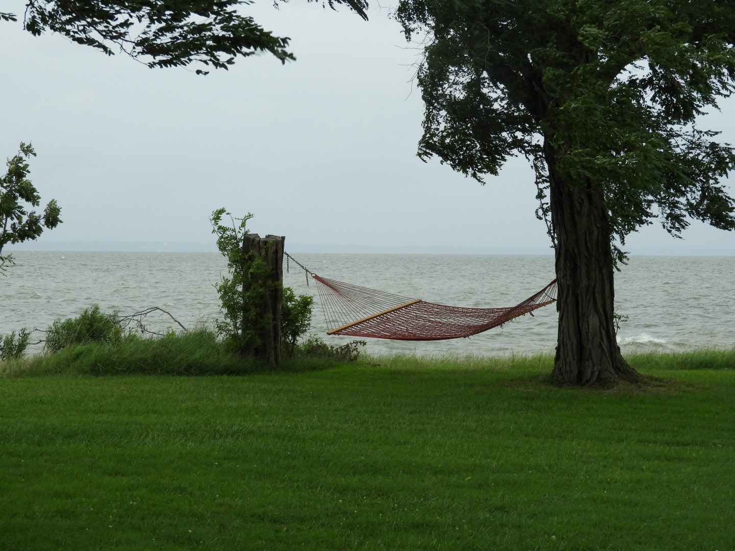 Tilghman Island MD on the Delaware Peninsula  7 of 20 (#6361)