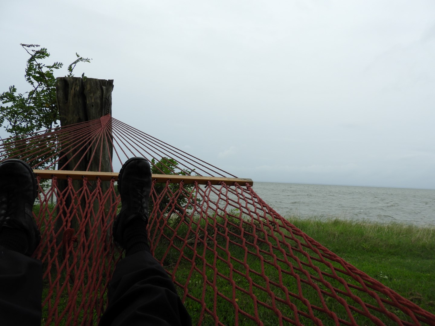 Tilghman Island MD on the Delaware Peninsula  9 of 20 (#6363)