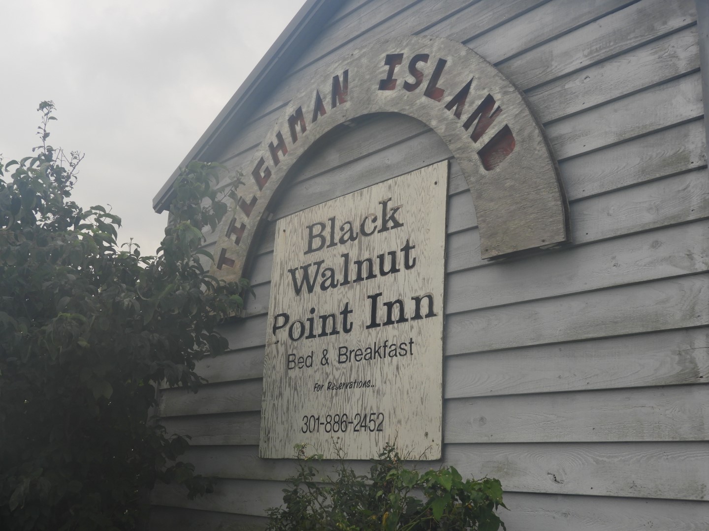 Tilghman Island MD on the Delaware Peninsula  1 of 20 (#6371)