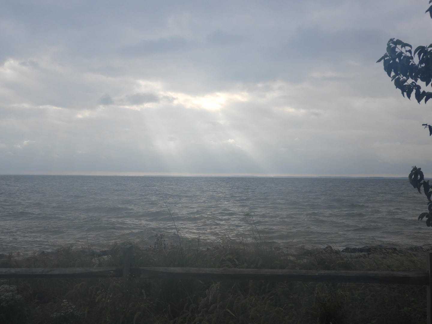 Tilghman Island MD on the Delaware Peninsula 14 of 20 (#6372)