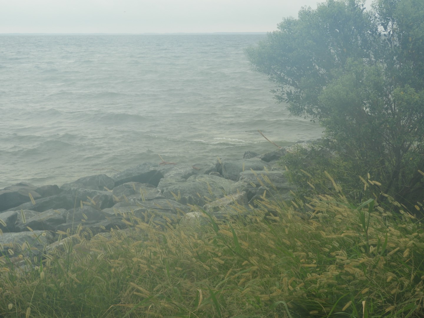 Tilghman Island MD on the Delaware Peninsula 16 of 20 (#6374)