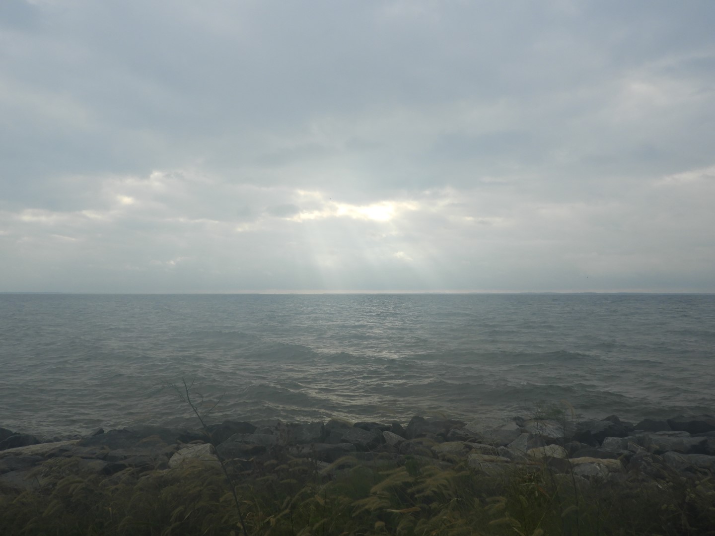 Tilghman Island MD on the Delaware Peninsula 17 of 20 (#6375)