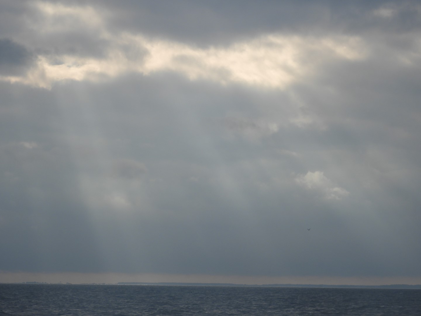 Tilghman Island MD on the Delaware Peninsula 18 of 20 (#6376)