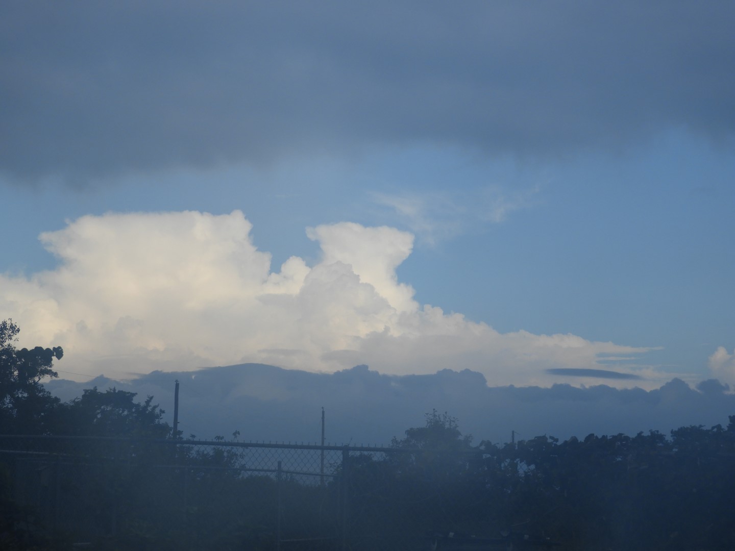 Tilghman Island MD on the Delaware Peninsula 19 of 20 (#6377)