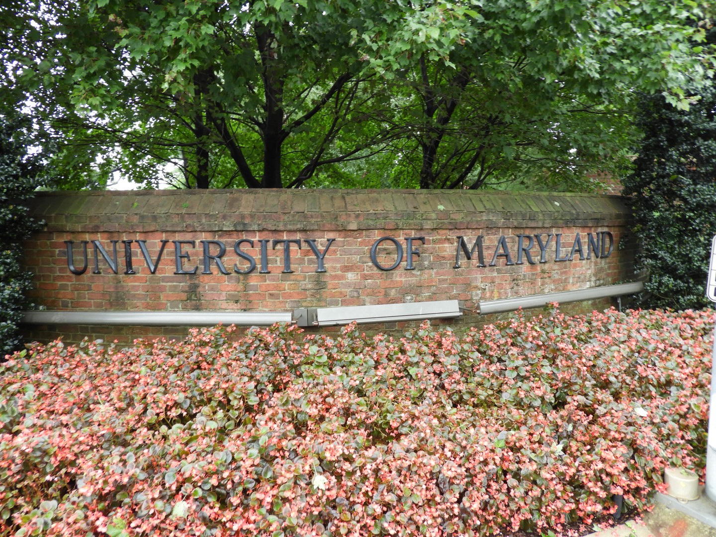 University of Maryland in College Park MD  2 of  4 (#6381)