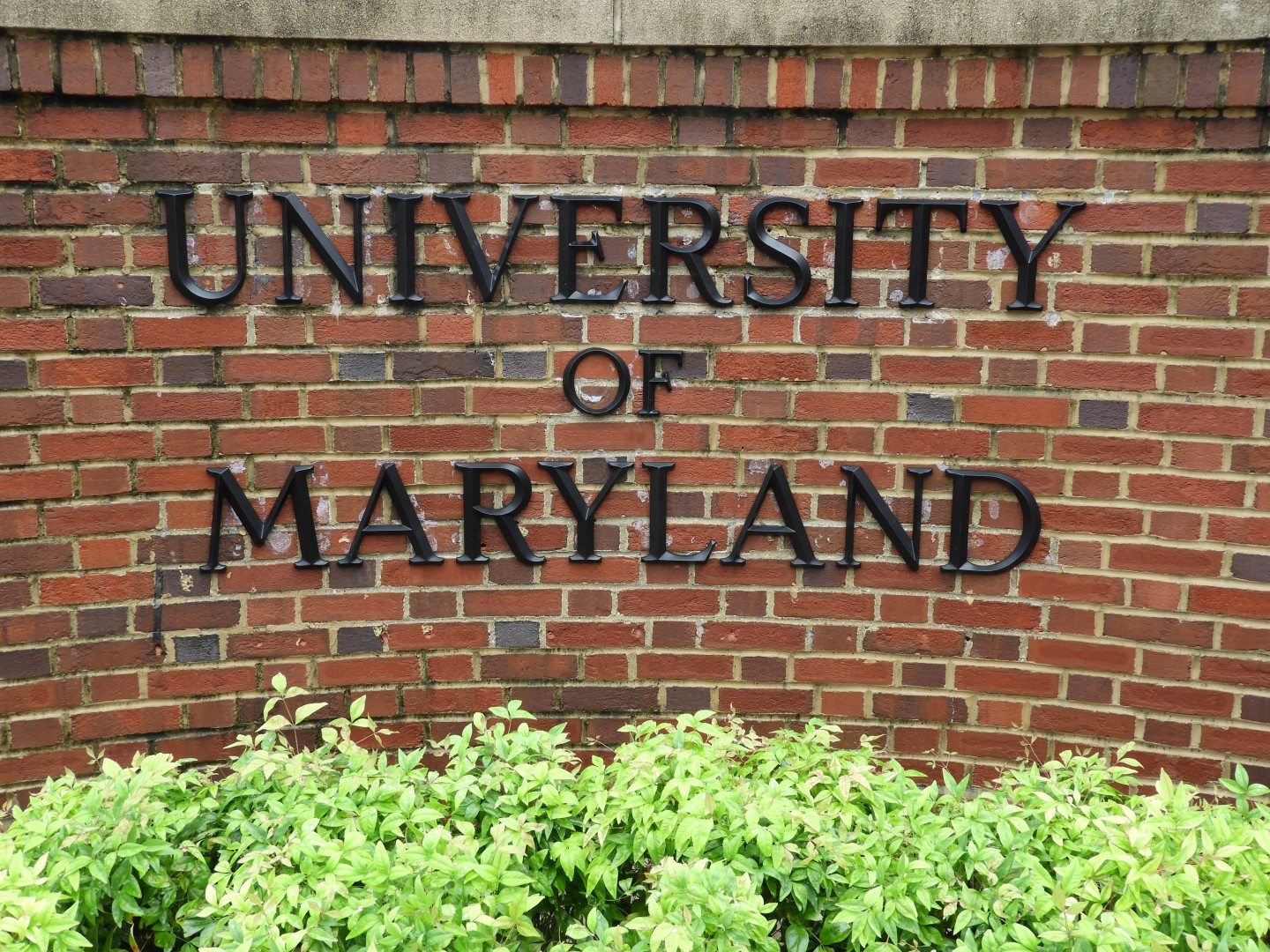 University of Maryland in College Park MD  3 of  4 (#6382)