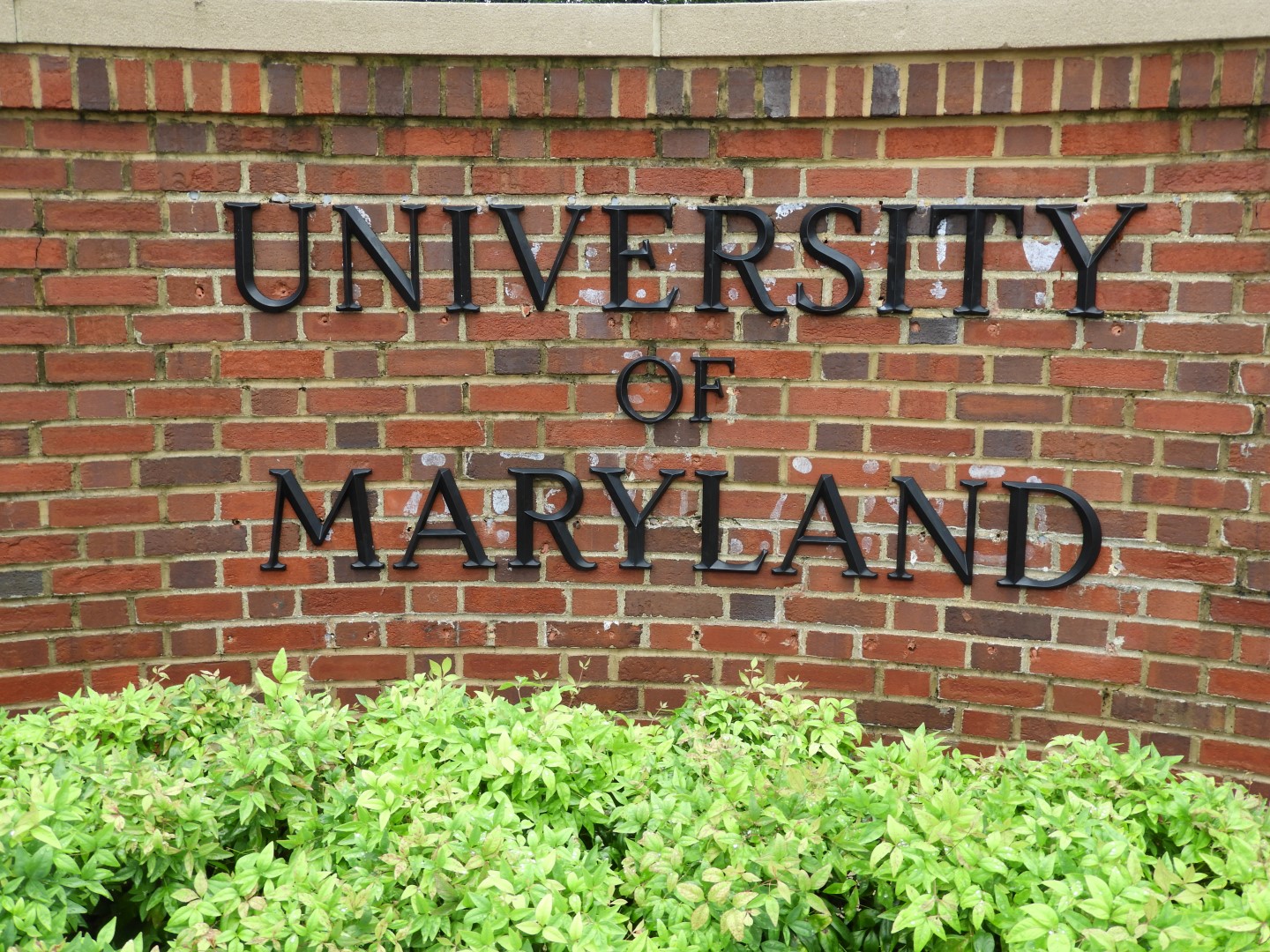 University of Maryland in College Park MD  4 of  4 (#6383)