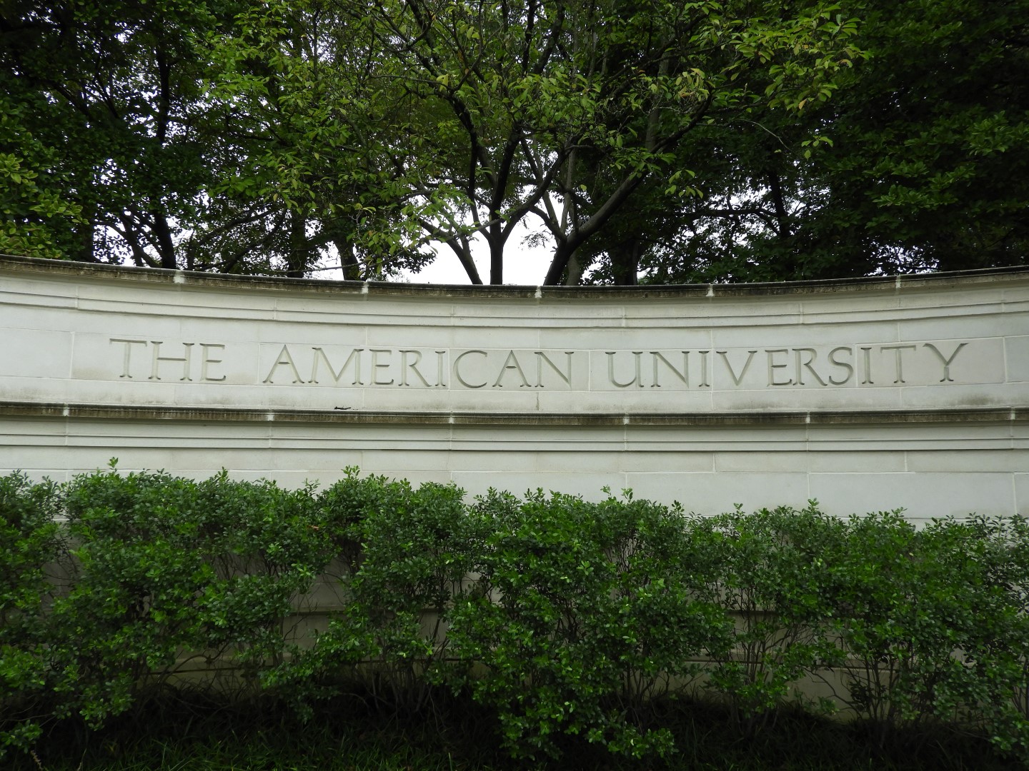 American University in Washington DC  1 of  2 (#6394)