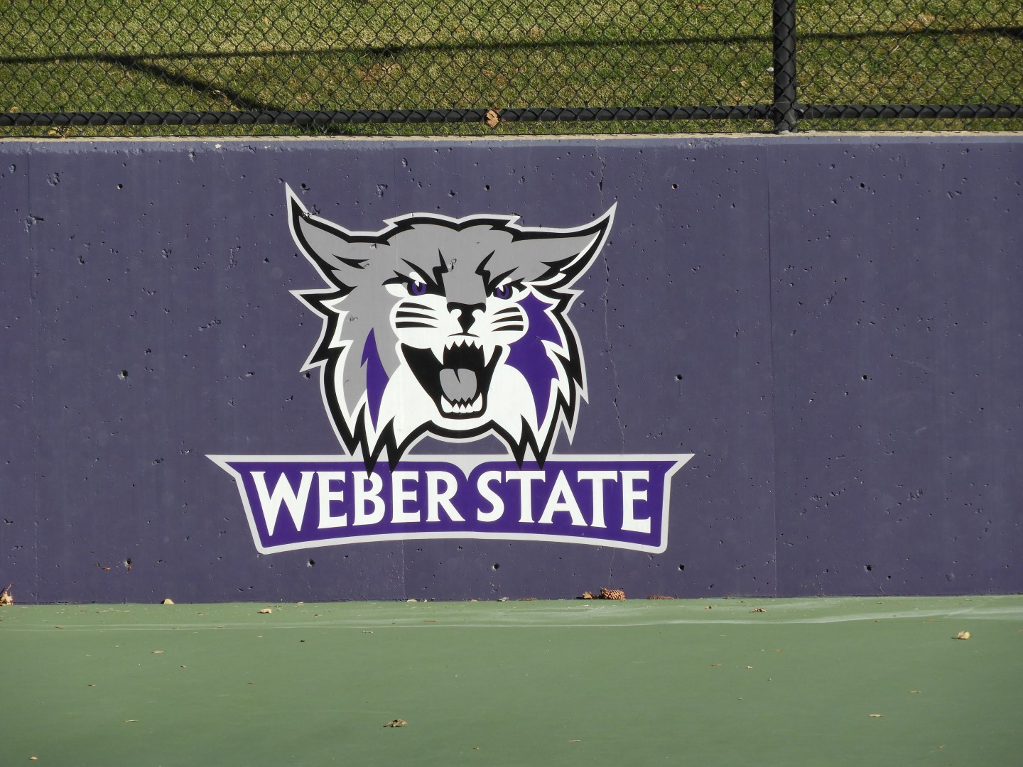 Weber State University in Ogden UT  3 of  4 (#6469)
