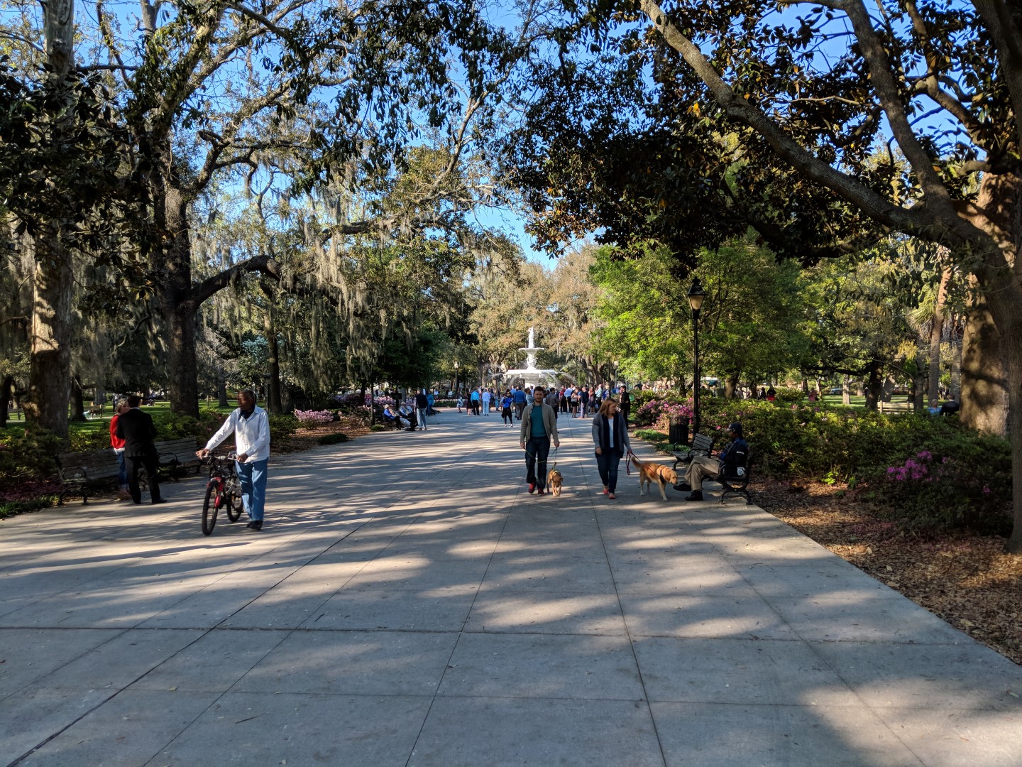 Forsyth Park in Savannah  2 of  4 (phone camera)