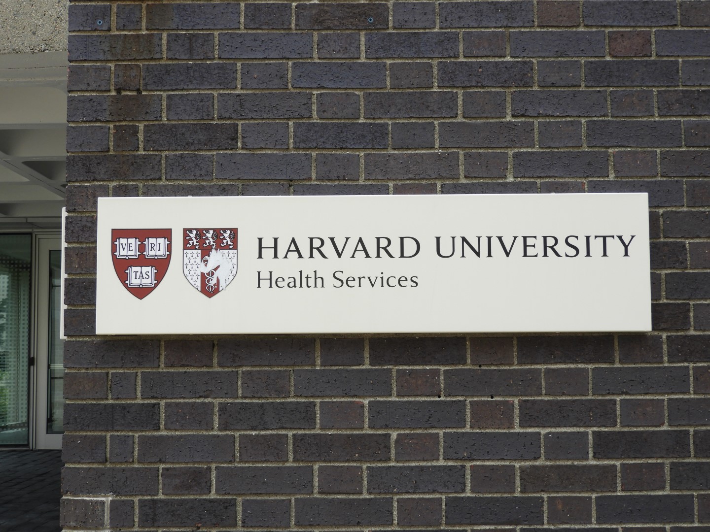 Harvard University (a month later) in Cambridge MA 3 of  8 (#0016)