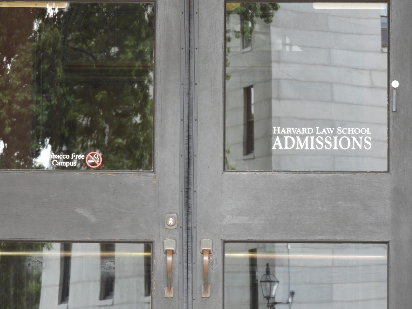 Harvard University (a month later) in Cambridge MA 4 of  8 (#0017)