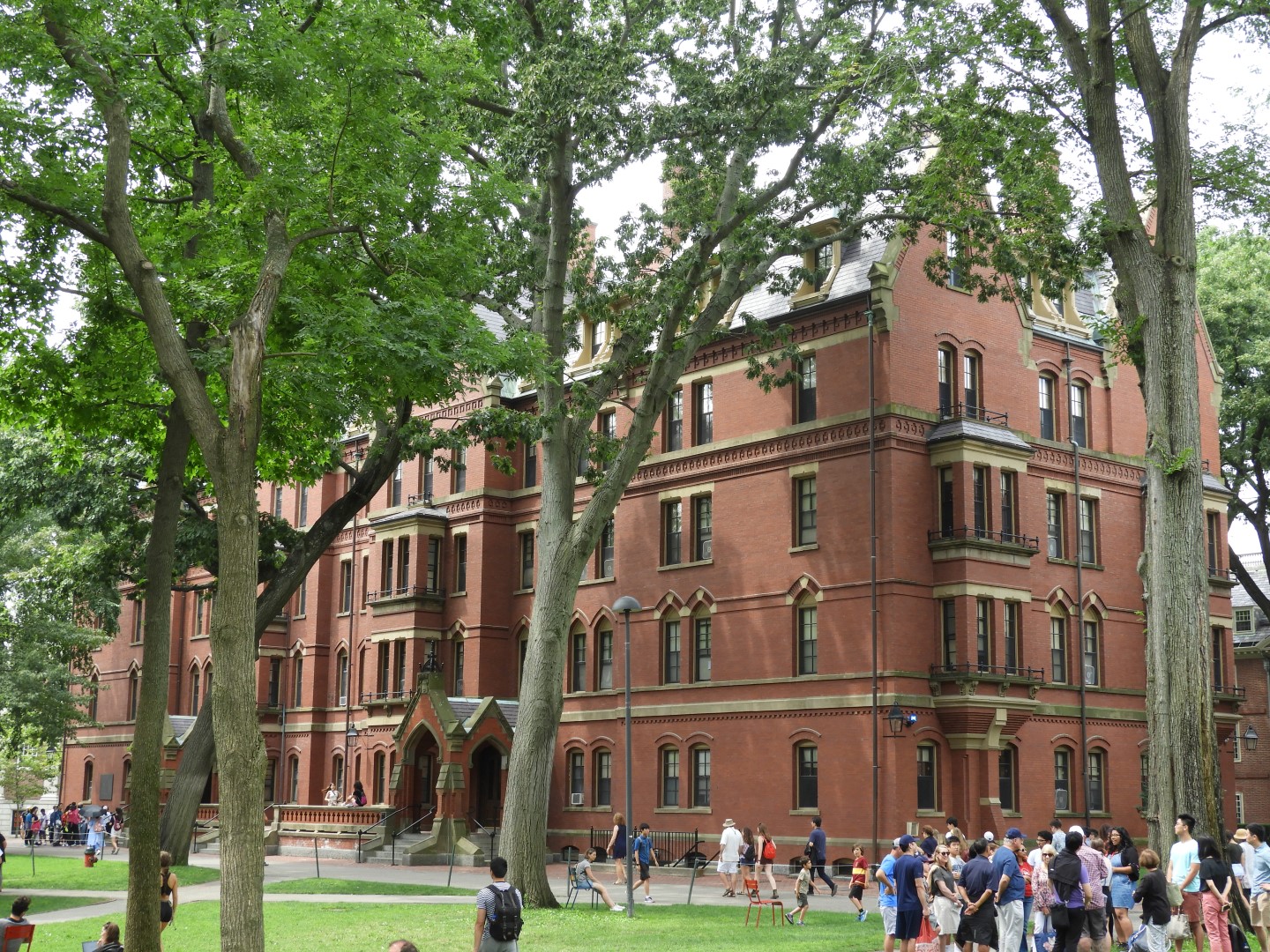 Harvard University (a month later) in Cambridge MA 7 of  8 (#0021)