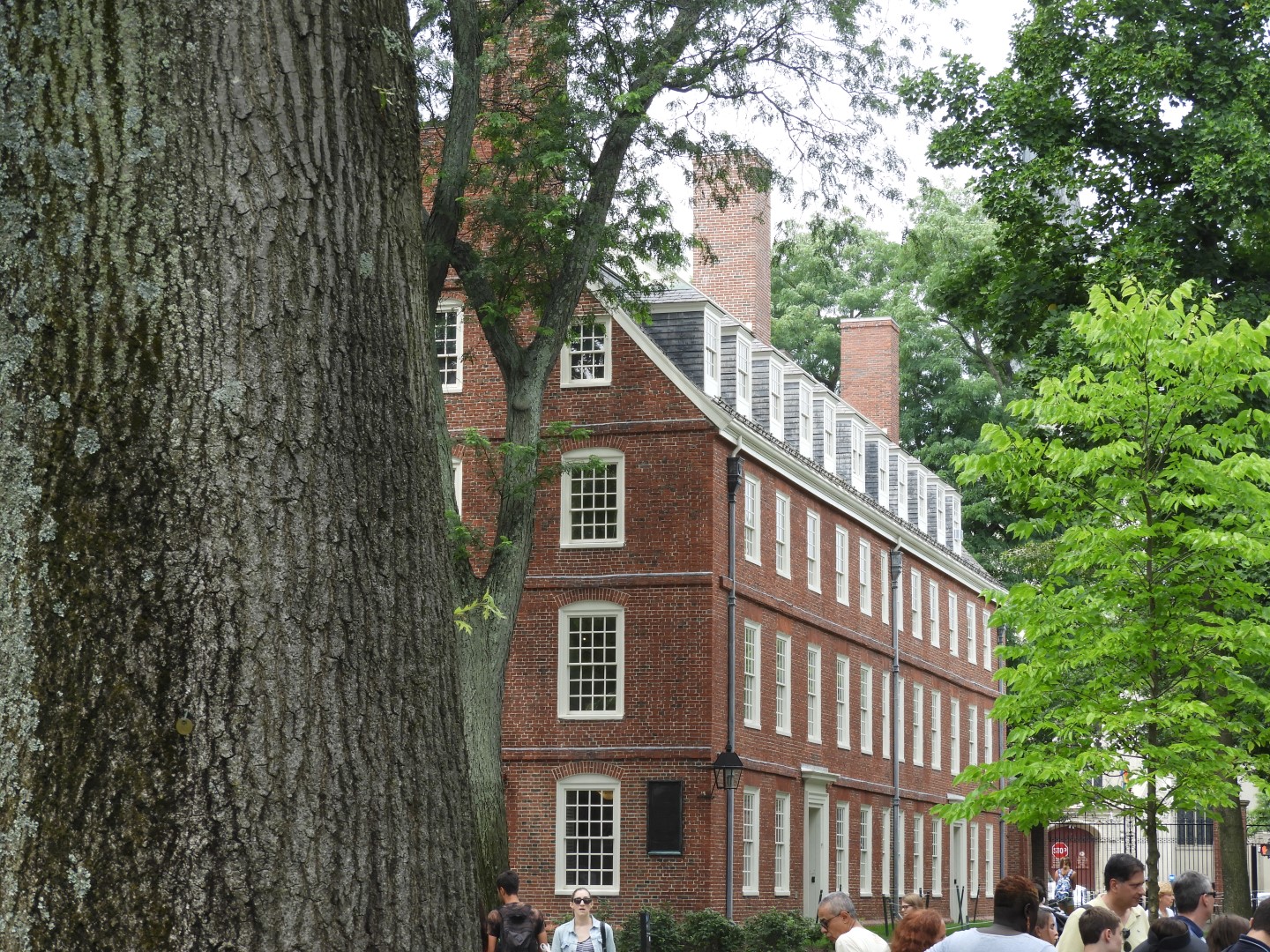 Harvard University (a month later) in Cambridge MA 8 of  8 (#0022)