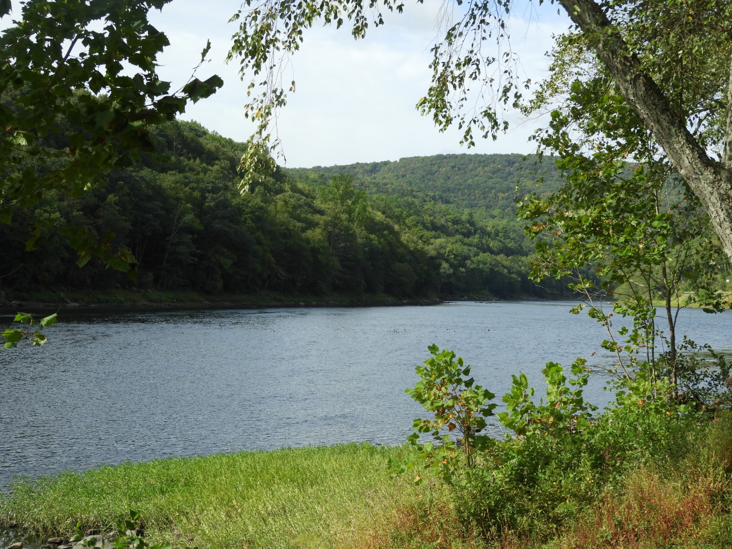 Upper Delaware River in Barryville NY 3 of  3 (#0065)