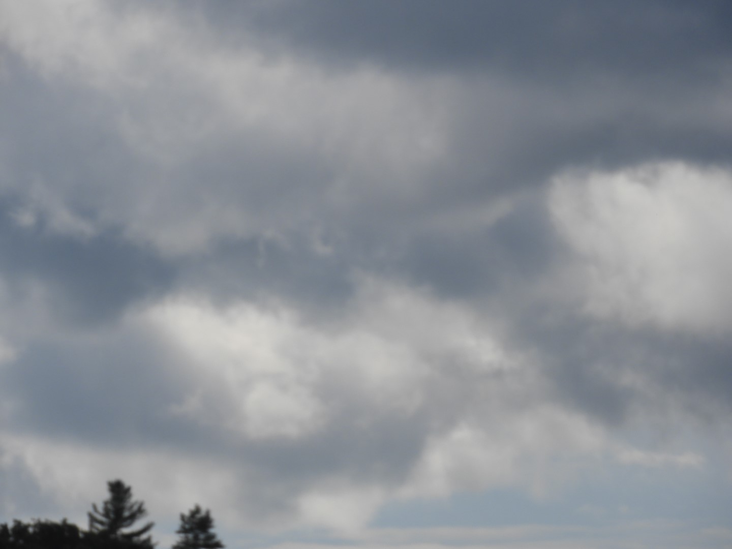 Upper Delaware River Scenic and Recreational National River near Masthope PA 3 of 25 (#0069)