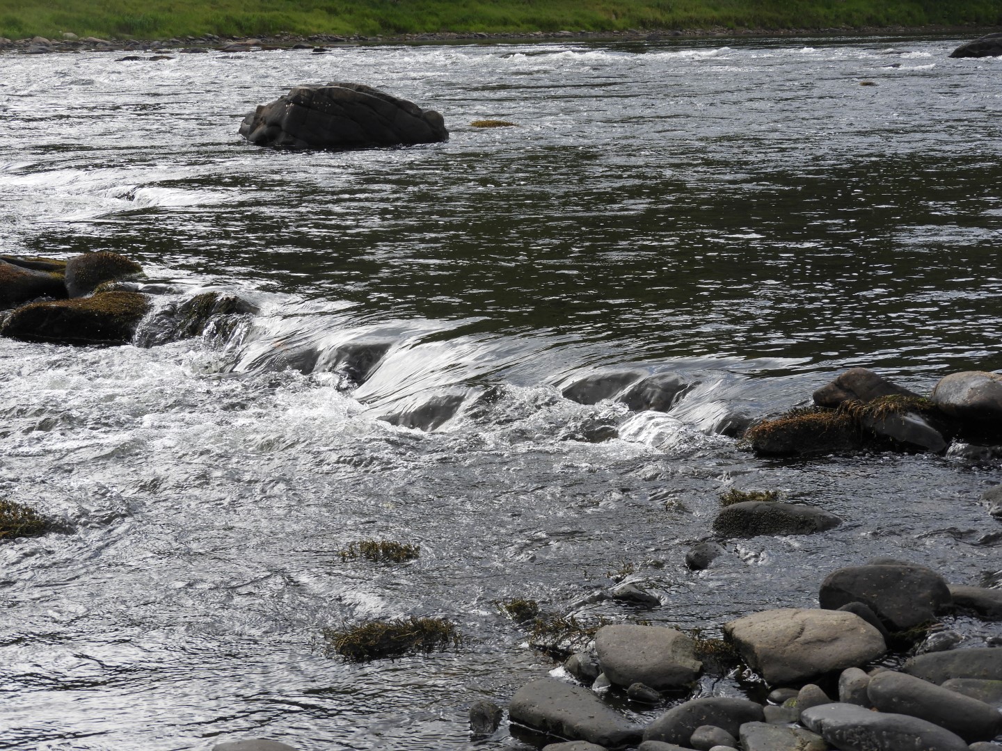 Upper Delaware River Scenic and Recreational National River near Masthope PA 8 of 25 (#0076)